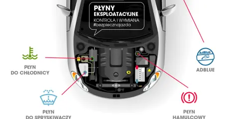 Schemat pokazuje kluczowe płyny w aucie: chłodniczy, do spryskiwaczy, hamulcowy i AdBlue. Kontrola i wymiana to #bezpiecznajazda.